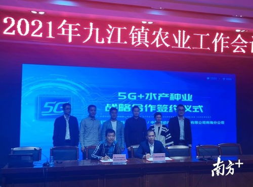 5G赋能水产种业 南海九江如何以数字农业引领移动通讯领域新突破