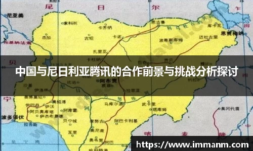 中国与尼日利亚腾讯的合作前景与挑战分析探讨